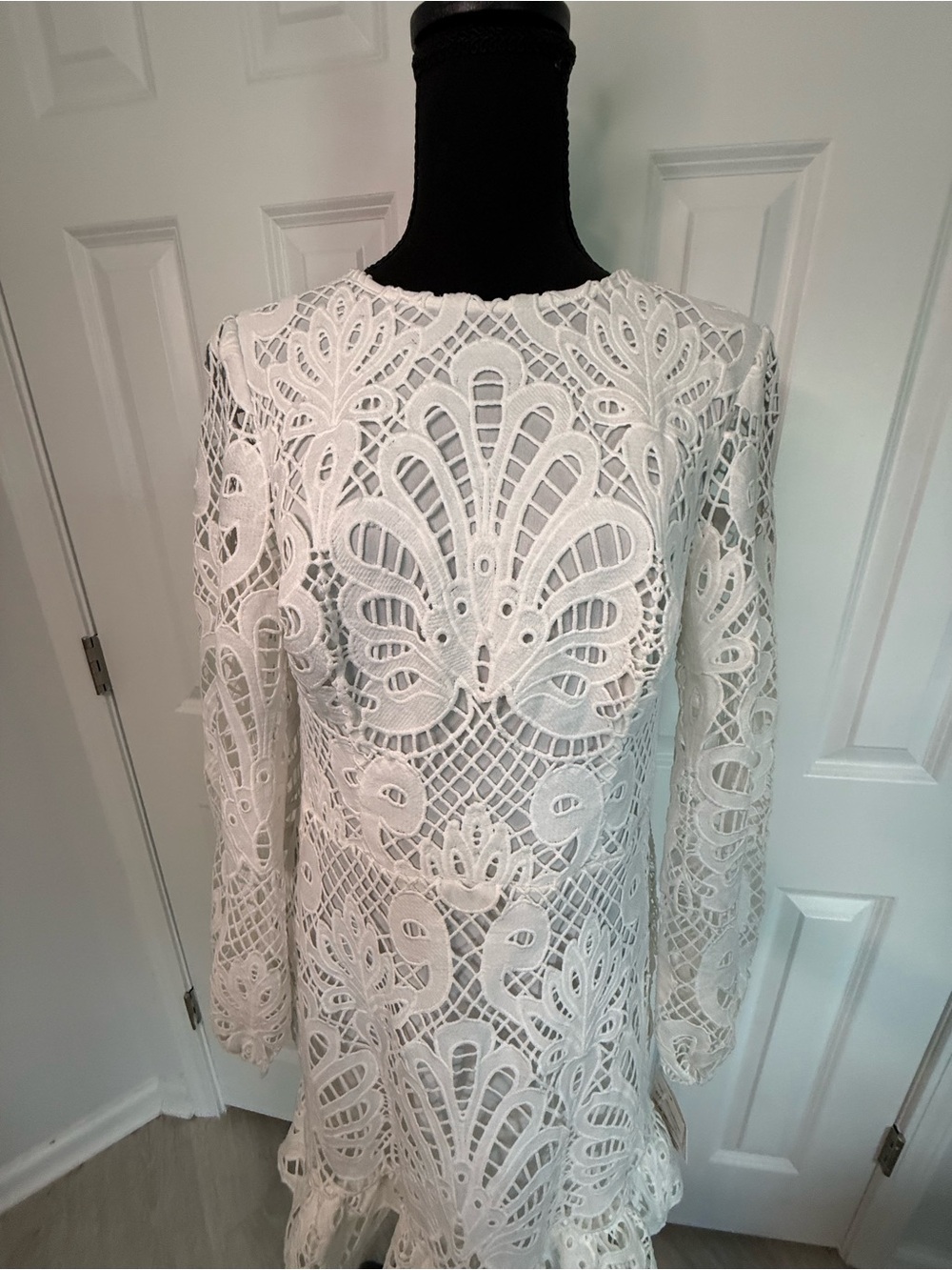 DB Studio White Lace Eyelet Dress. Sheer back. Bridal Fashion size 12 - Picture 2 of 11